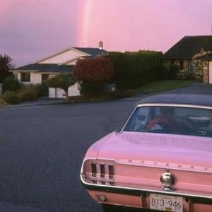 17c丨九色丨白浆㊙️小青龙
